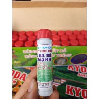 Root king số 1 siêu ra rễ 